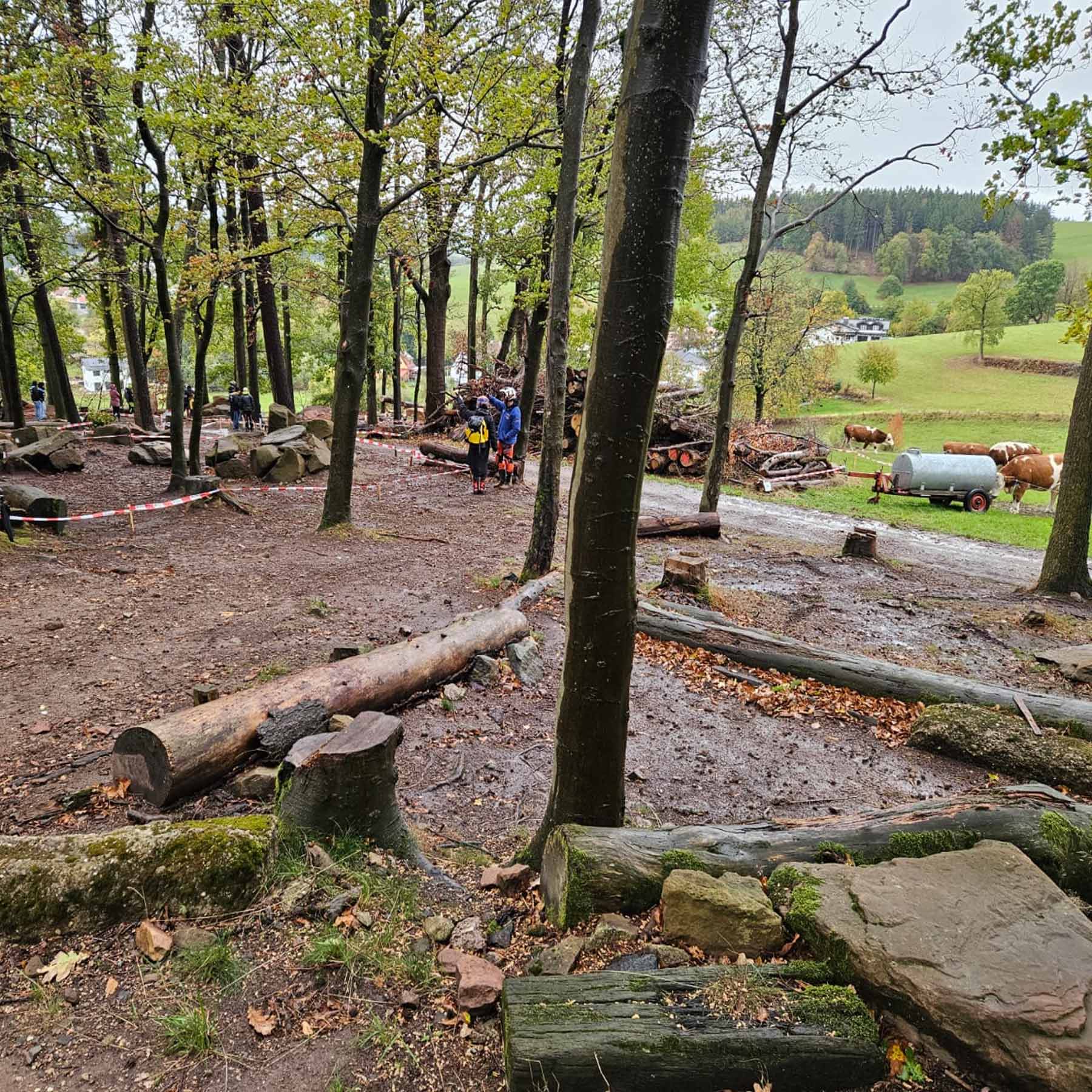 Hammelbach_2026_11.jpg